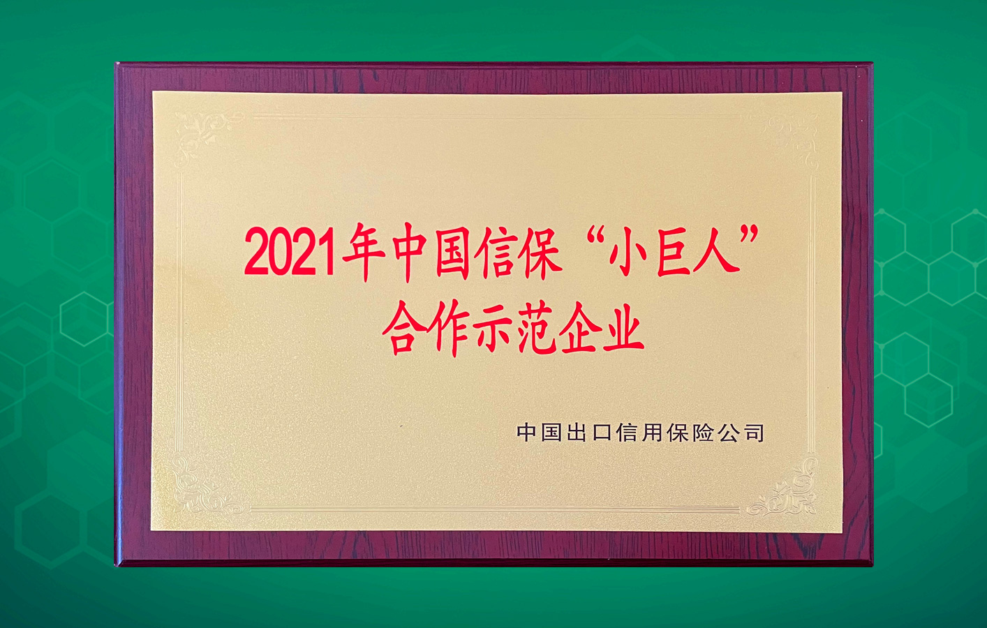 楊帆遠航走向世界！華聯領世榮獲中國信保“小巨人”合作示范企業！